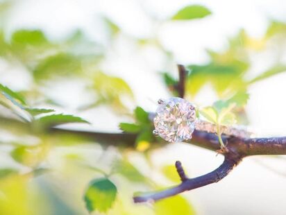 Pretty Diamond Engagement Ring